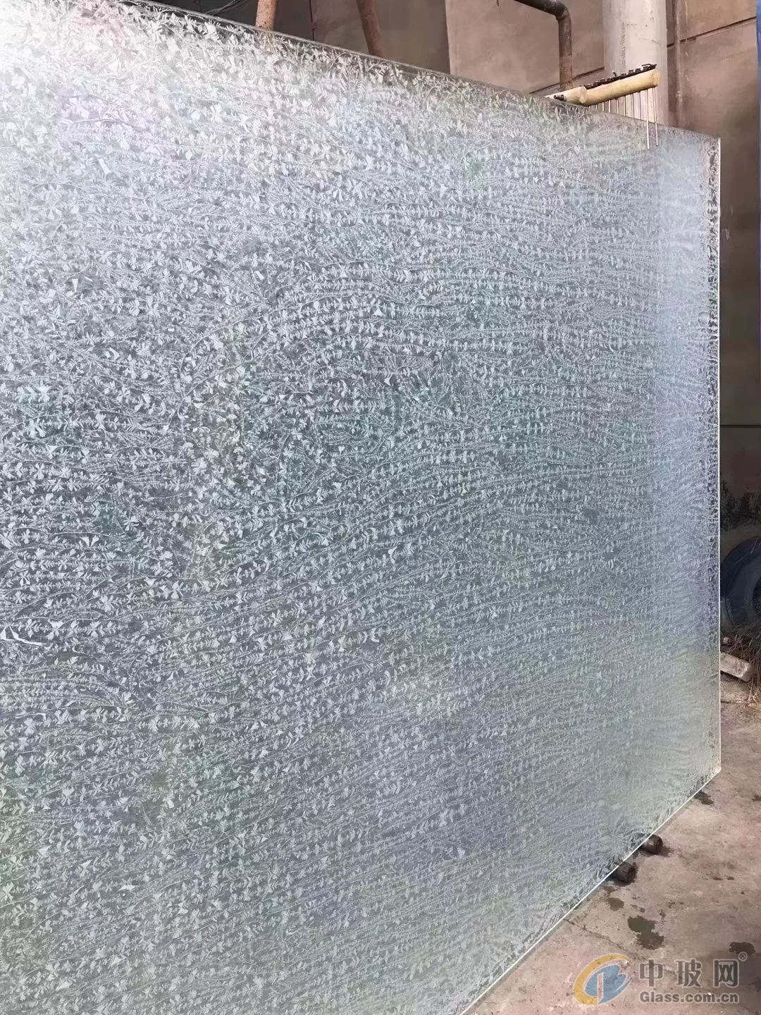 Immagine di riferimento del prodotto